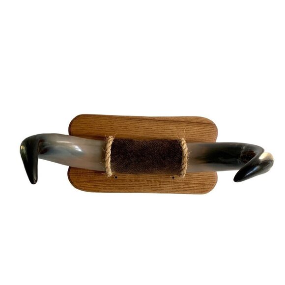 Animal Horn Bull Buffalo ? Mounted 18" Width - Picture 1 of 8